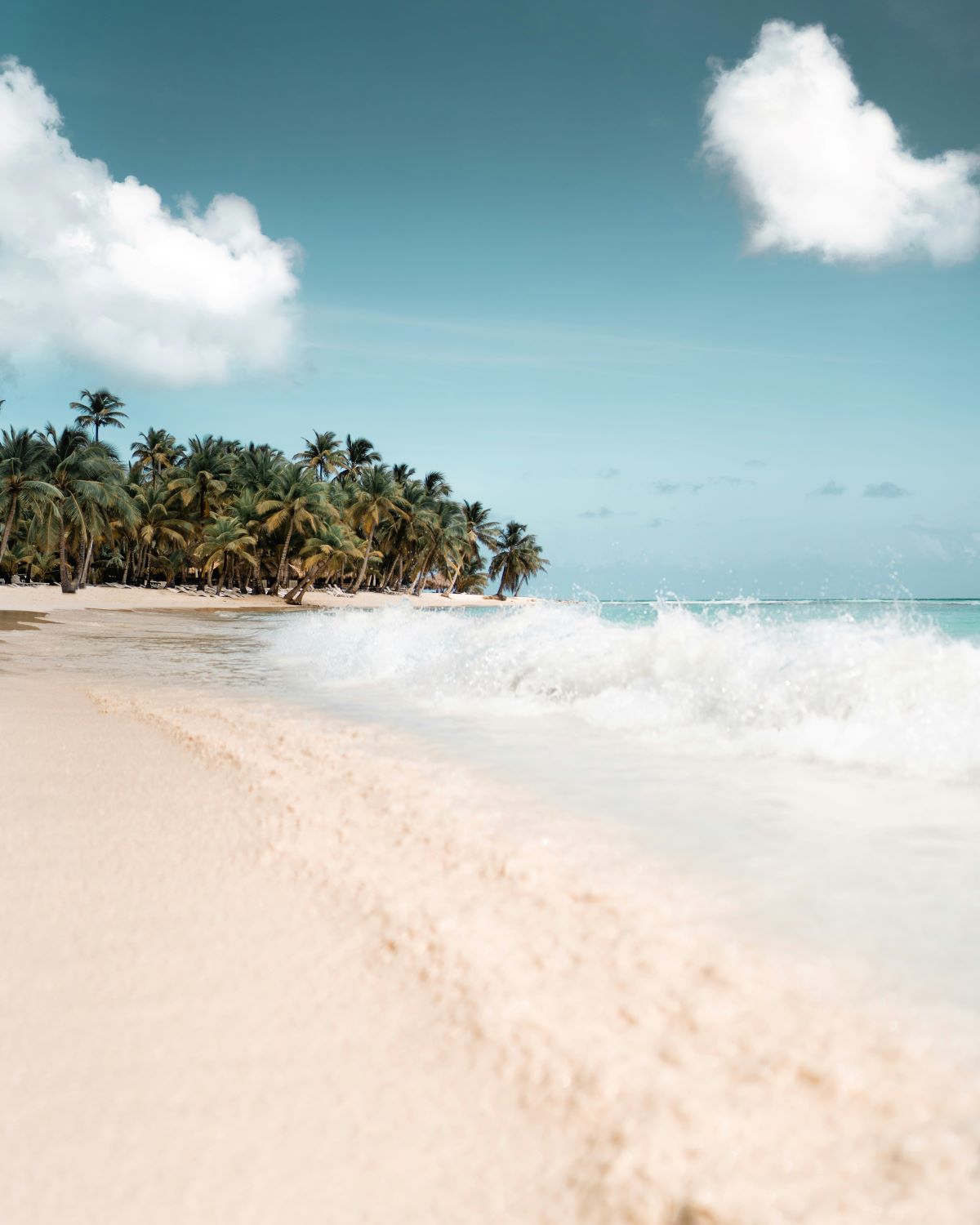 What to Do in the Dominican Republic
