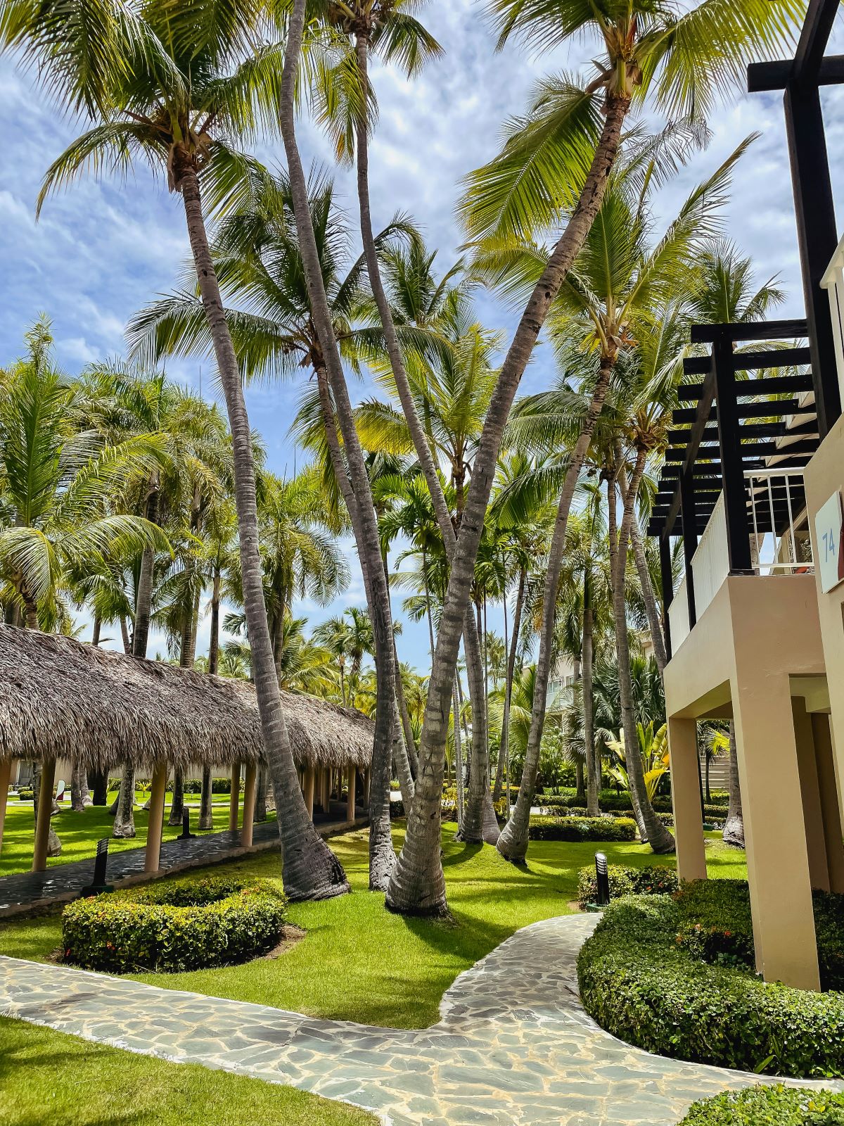 FAQs: Vacationing in the Dominican Republic in January-February