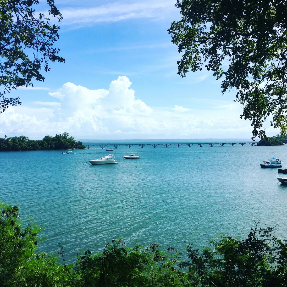 Who Should Visit the Dominican Republic in January-February?