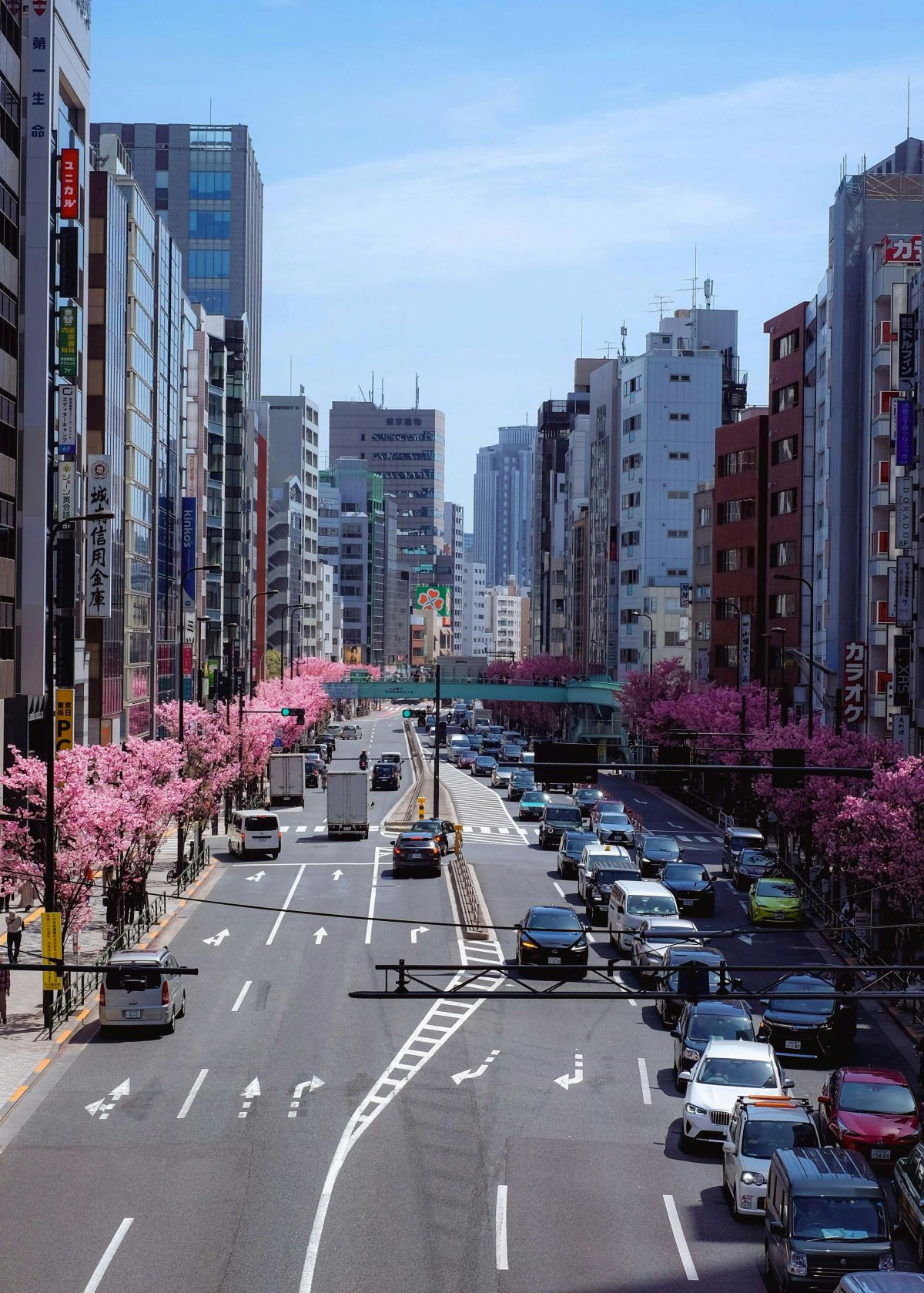 Japan Street in Spring