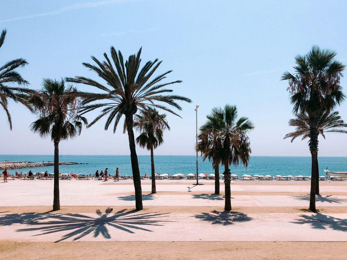 Why Visit Barcelona in February or March?
