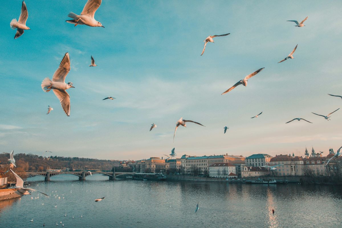 Tips for Traveling to Prague in Spring
