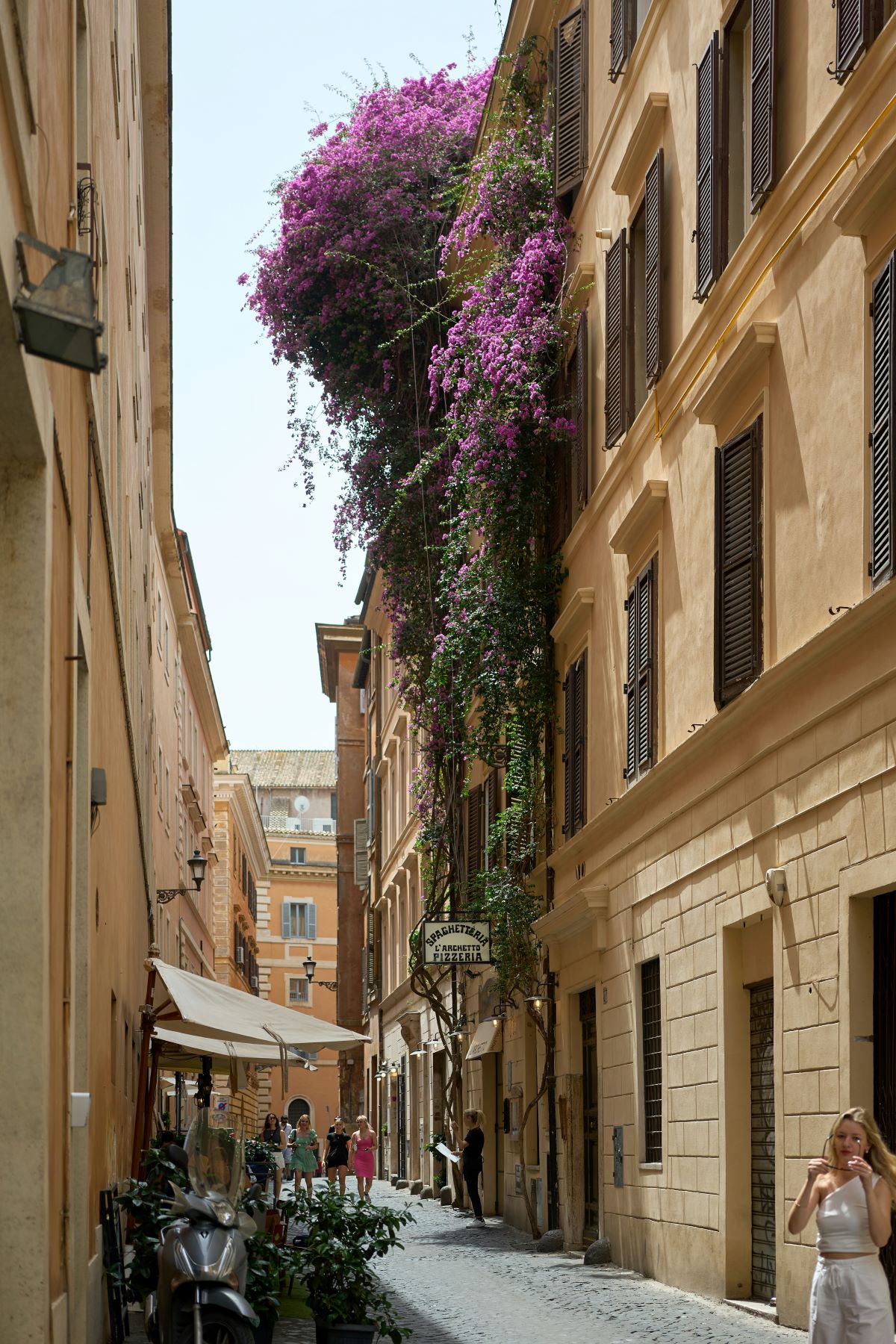 Spring transforms Rom