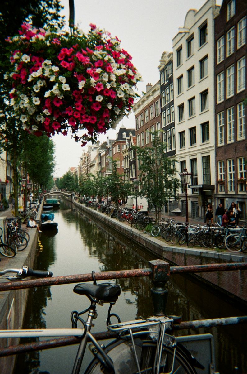 🌷 Why Visit Amsterdam in Spring?