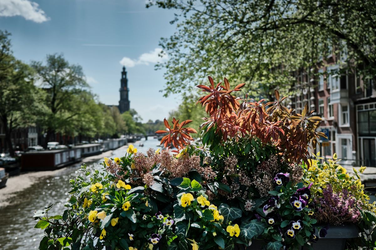 💡 Practical Travel Tips for Visiting Amsterdam in Spring