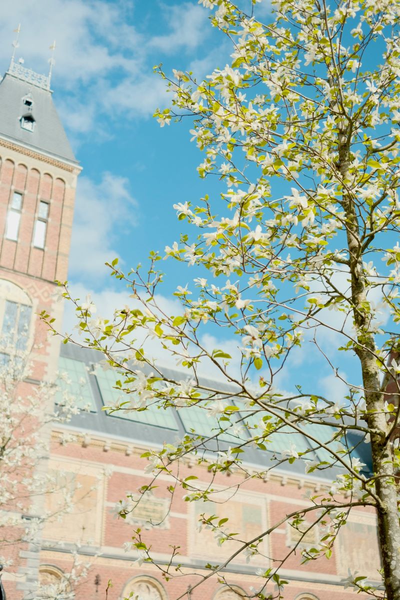 Best Photography Spots in Amsterdam in Spring
