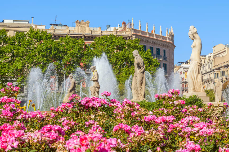 Spring Blooms in Barcelona Parks