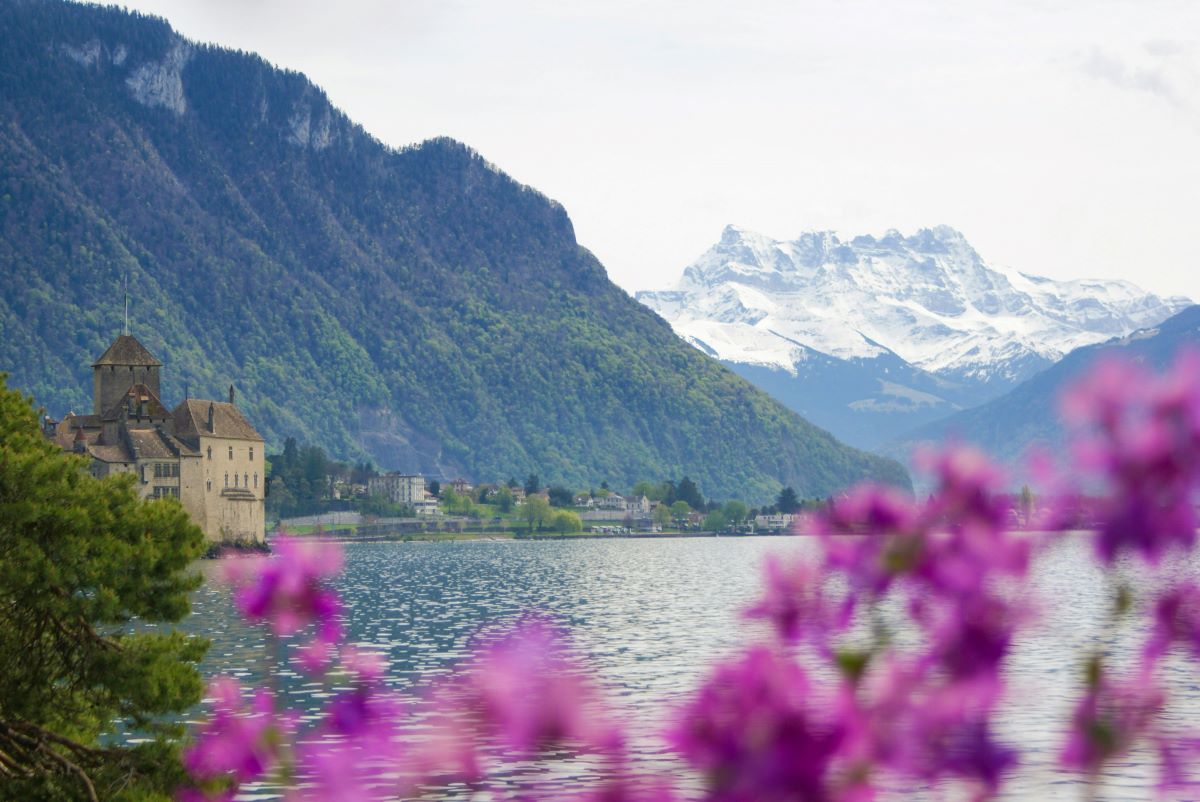 Nature & Blooming Spots: Switzerland in Full Bloom
