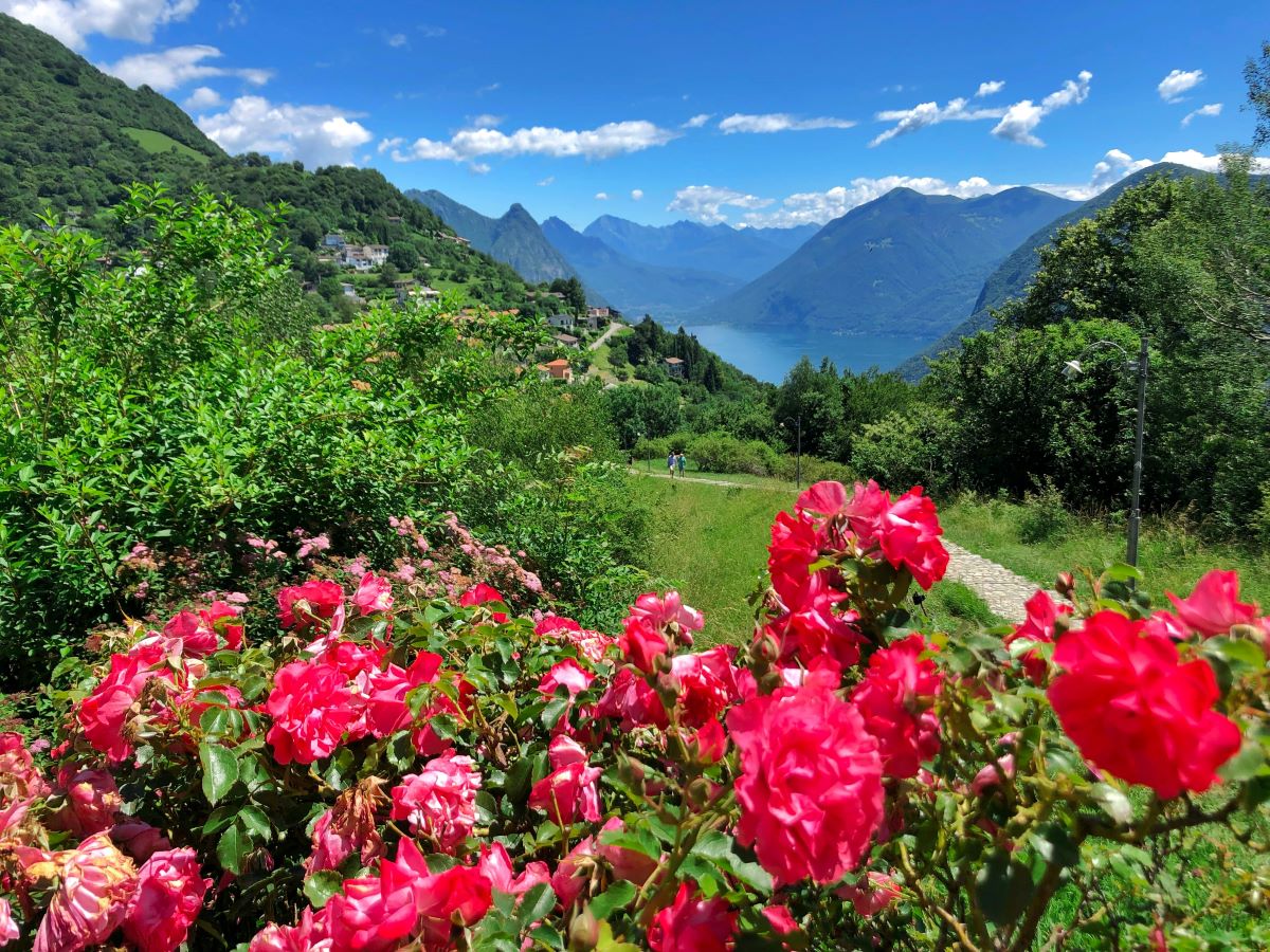 Food & Drinks: A Taste of Swiss Spring