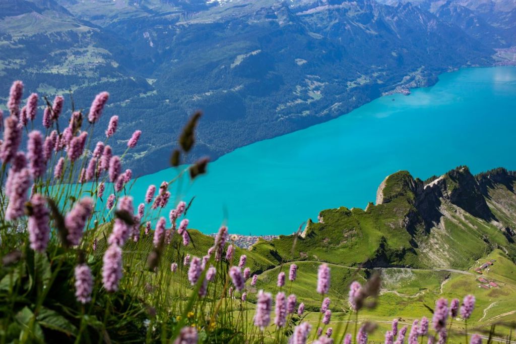 Switzerland in Spring: A Journey Through Blooming Landscapes & Alpine Wonders